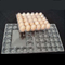 Folding 0.4mm 30 Cells Plastic Blister Packaging Non Toxic Polymer Egg Holder Tray